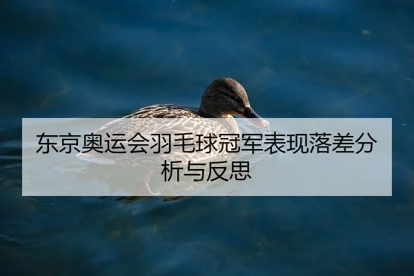 dong-jing-ao-yun-hui-yu-mao-qiu-guan-jun-biao-xian-luo-cha-fen-xi-yu-fan-si-2-772.jpg