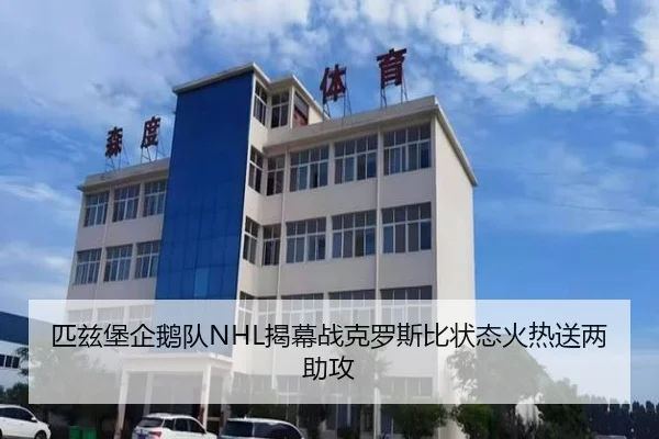pi-zi-bao-qi-e-dui-jie-mu-zhan-ke-luo-si-bi-zhuang-tai-huo-re-song-liang-zhu-gong-3-548.jpg